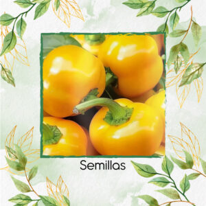 Semillas Orgánicas De Pimentón Cherry Amarillo