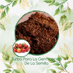 Sustratos Para Pimentón Cherry Rojo