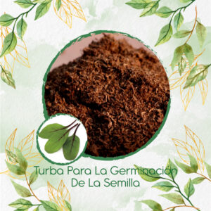 Sustratos Para Acelga Scarlett