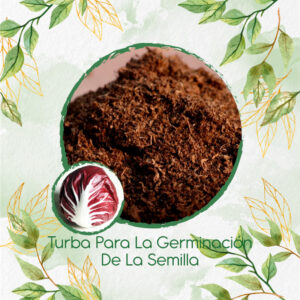 Sustratos Para Radicchio Morado