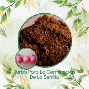 Sustratos Para Tomate Cherry Rosado