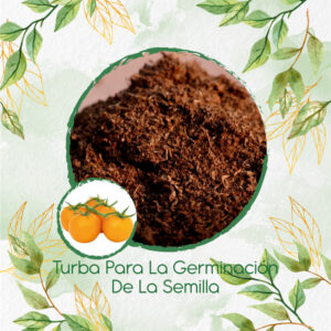 Sustratos Para Tomate Cherry Dorado