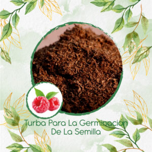 Sustratos Para Frambuesa