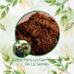 Sustratos Para Ají Roccoto