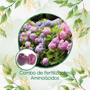 Kits De Fertilizantes Para Pimentón Morado