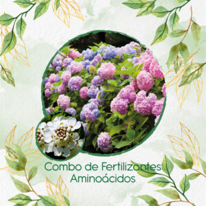 Kits De Fertilizantes Para Iberis Canastilla de Plata