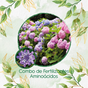 Kits De Fertilizantes Para Iberis Canastilla De Colores