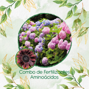 Kits De Fertilizantes Para Girasol Chocolate Cereza