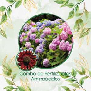 Kits De Fertilizantes Para Girasol Velvet Queen