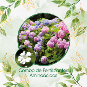 Kits De Fertilizantes Para Gypsophila Covent