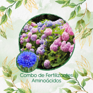 Kits De Fertilizantes Para Botones De Soltero Azules