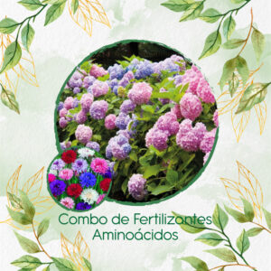 Kits De Fertilizantes Para Botones De Soltero Mezcla
