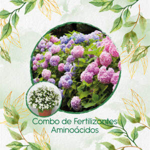 Kits De Fertilizantes Para Arabis