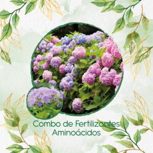 Kits De Fertilizantes Para Ageratum