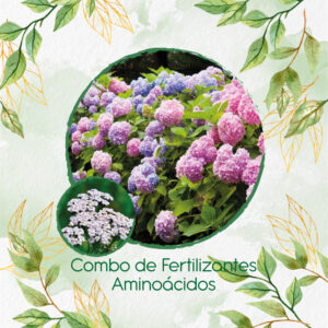 Kits De Fertilizantes Para Achillea Milenrama Blanca