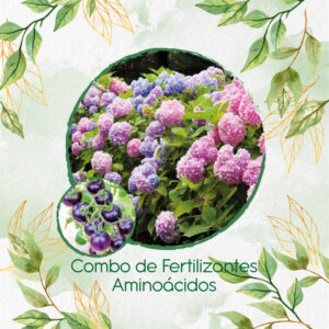 Kits De Fertilizantes Para Tomate Cherry Morado