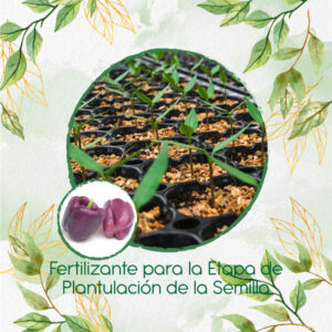 Fertilizantes Individuales Para Pimentón Morado