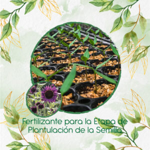 Fertilizantes Individuales Para Girasol Morado y Otros Mix