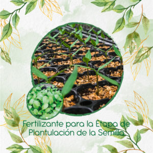 Fertilizantes Individuales Para Mostaza Oriental Picante