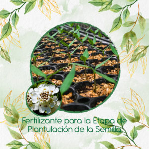 Fertilizantes Individuales Para Iberis Canastilla de Plata