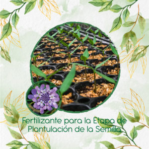 Fertilizantes Individuales Para Iberis Canastilla de Colores