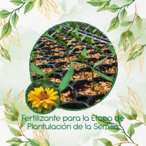 Fertilizantes Individuales Para Heliopsis - Sol de Verano