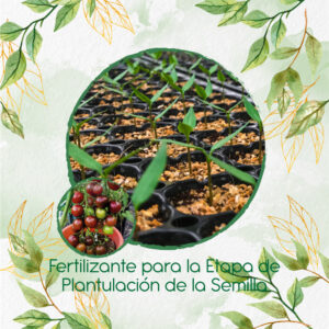 Fertilizantes Individuales Para Tomate Cherry Chocolate