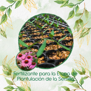 Fertilizantes Individuales Para Equinácea Púrpura