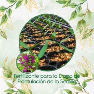 Fertilizantes Individuales Para Flor De Bálsamo