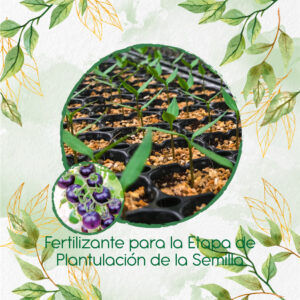Fertilizantes Individuales Para Tomate Cherry Morado
