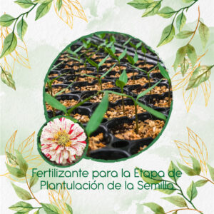 Fertilizantes Individuales Para Zinnia Menta Doble