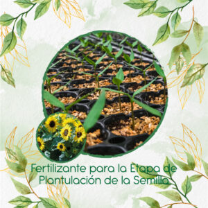 Fertilizantes Individuales Para Girasol Mancha Solar