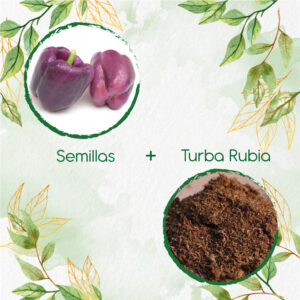 Kits De Siembra Para Pimentón Morado