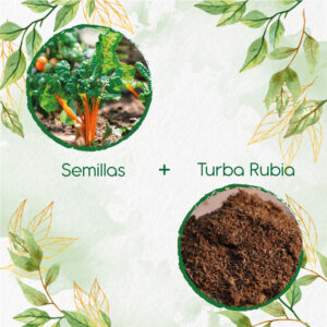 Kits De Siembra Para Acelga Naranja