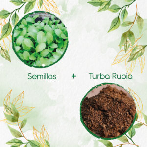 Kits De Siembra Para Mostaza Oriental Picante