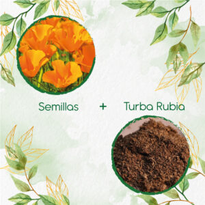 Kits De Siembra Para Amapola De California