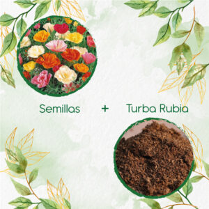 Kits De Siembra Para Amapola De California – Mission Bells