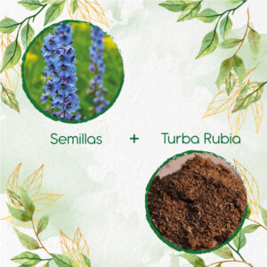 Kits De Siembra Para Espuela De Caballero