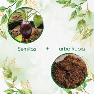 Kits De Siembra Para Pimentón Lila