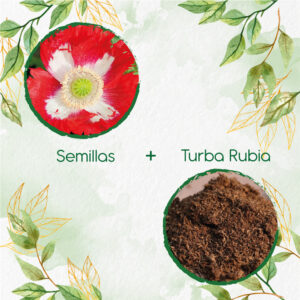 Kits De Siembra Para Amapola Danesa