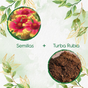 Kits De Siembra Para Flor Manta De Gallardía