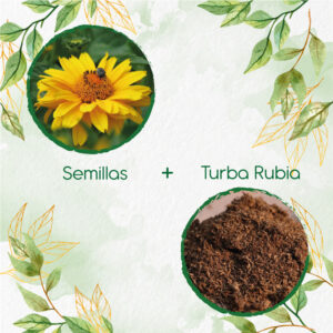 Kits De Siembra Para Heliopsis - Sol de Verano