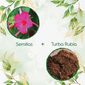 Kits De Siembra Para Marvel De Perú