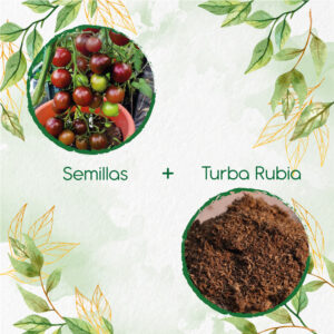 Kits De Siembra Para Tomate Cherry Chocolate