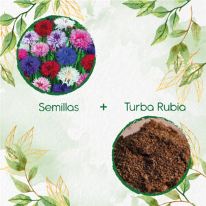 Kits De Siembra Para Botones De Soltero Mezcla