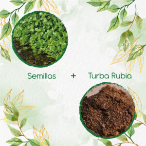 Kits De Siembra Para Berro De Agua