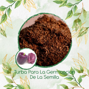 Sustratos Para Pimentón Morado