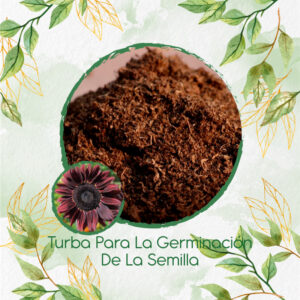 Sustratos Para Girasol Chocolate Cereza