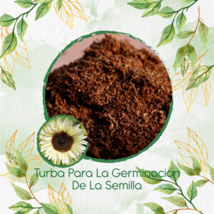 Sustratos Para Girasol Blanco