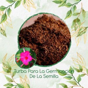 Sustratos Para Marvel De Perú